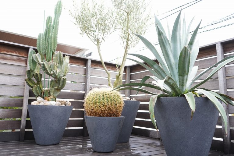 ドライガーデン 鉢植え植栽 所沢のエクステリア・外構工事 ドライガーデン mana's farm