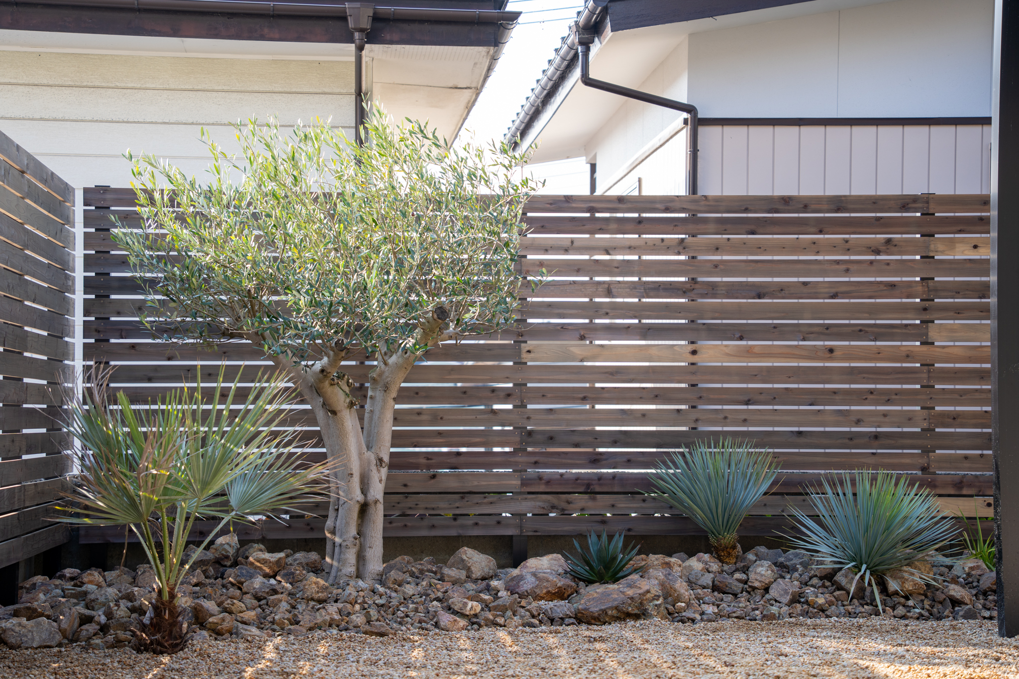 宮城県仙台市　お庭の古木オリーブを使った男前ドライガーデン