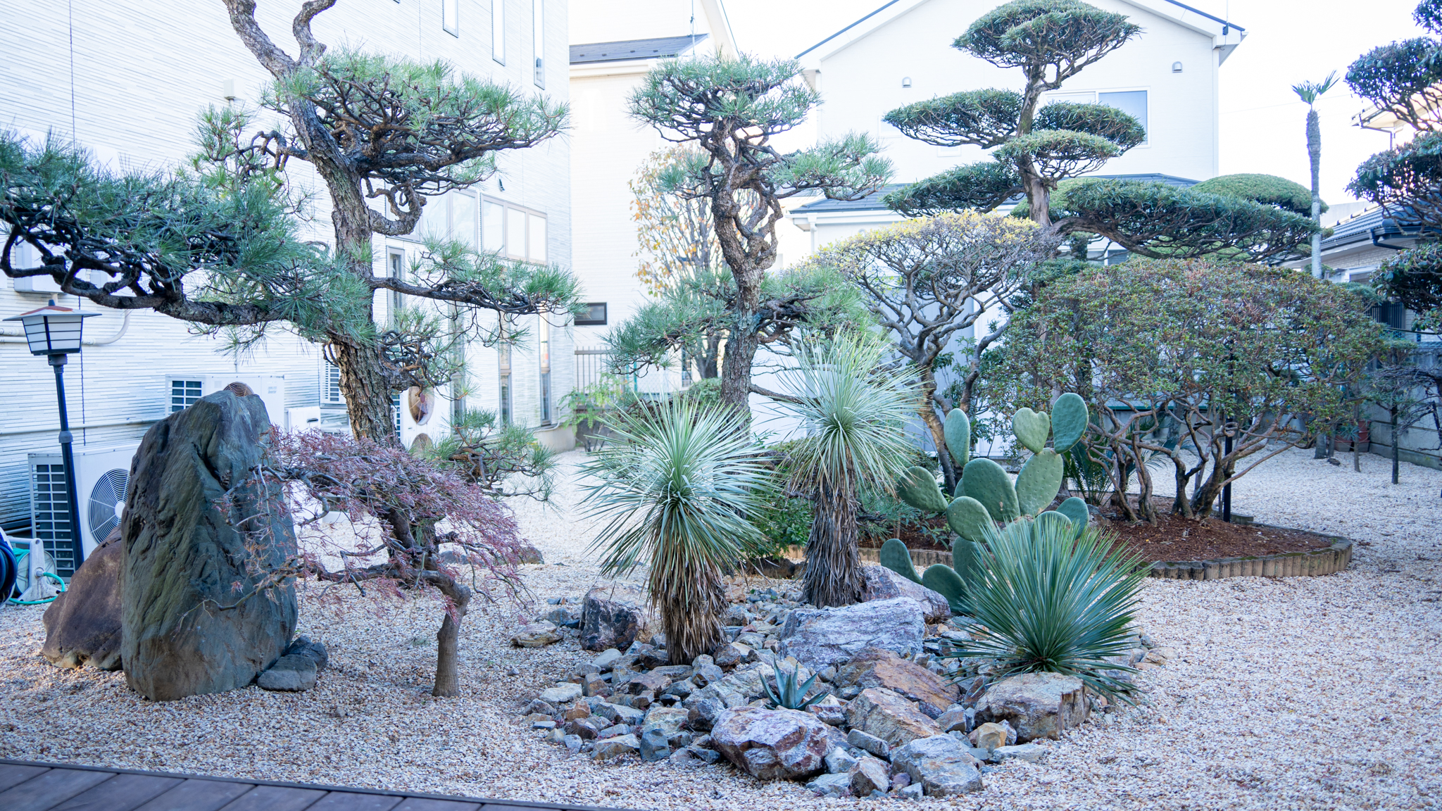 ドライガーデンと和の融合。