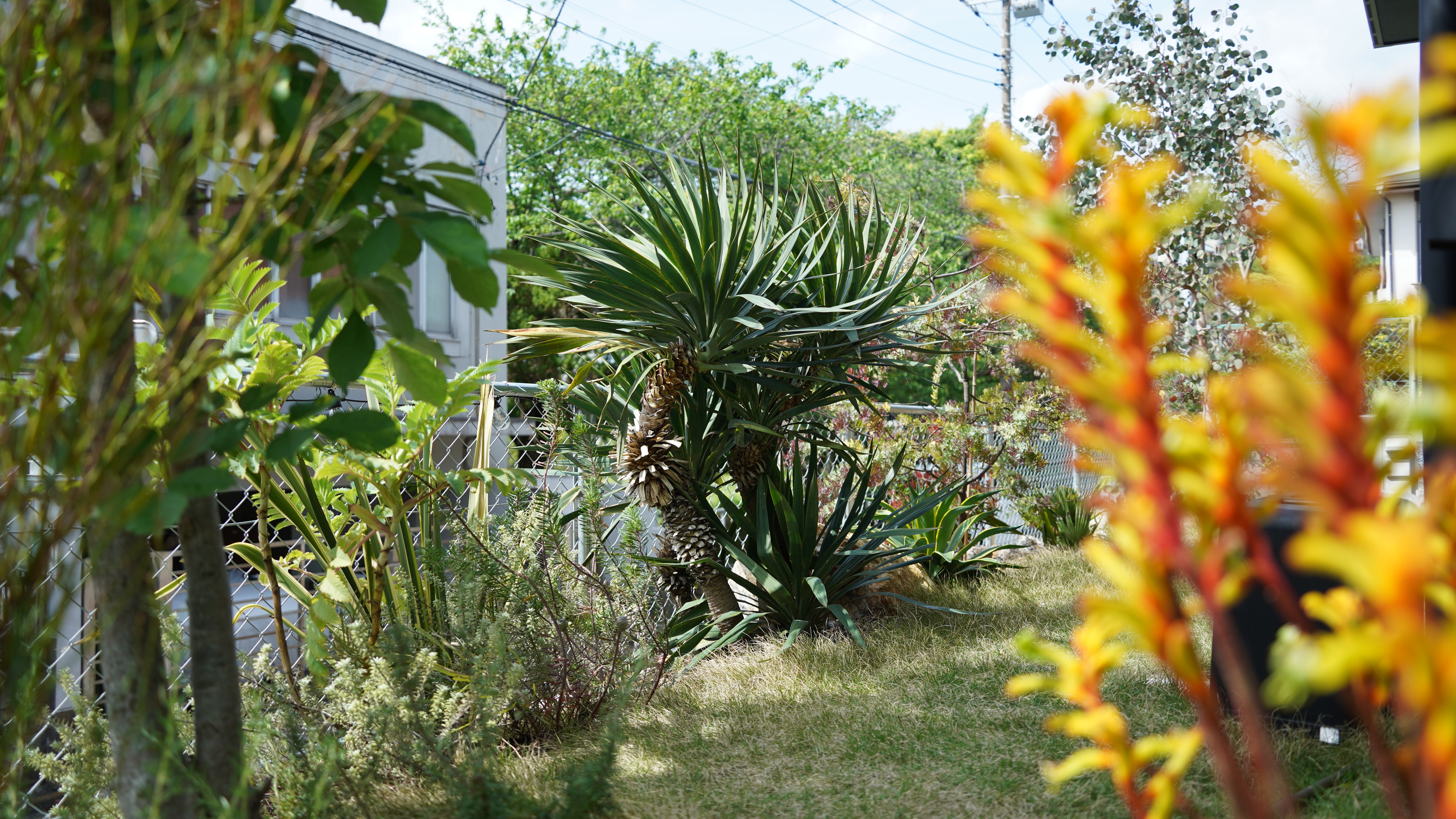 ナチュラルドライガーデンを別荘に作ってほしい　施工事例