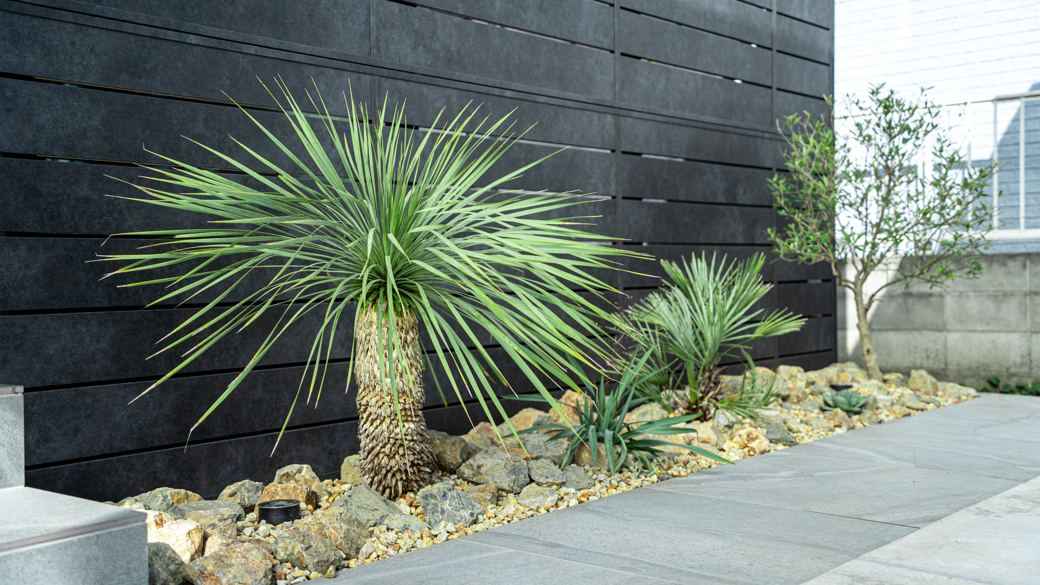 藤沢市ドライガーデン新築植栽施工事例