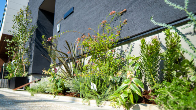 庭作り後悔しないために