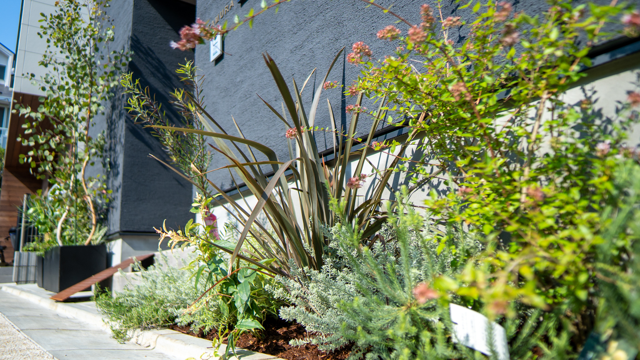 練馬区オージーガーデン施工事例