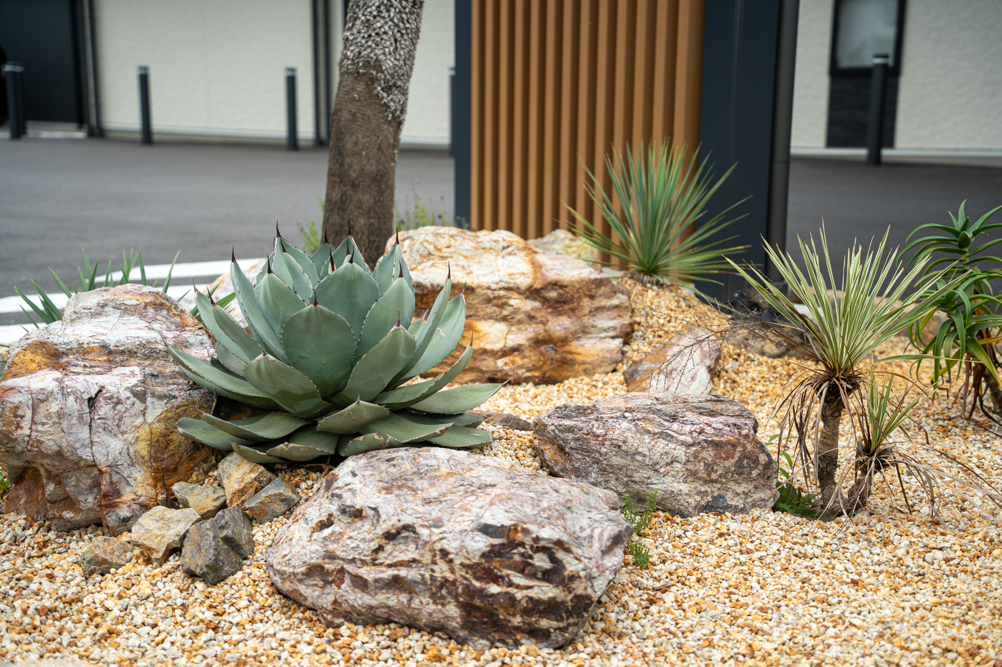 栃木県整形外科　店舗ドライガーデン施工