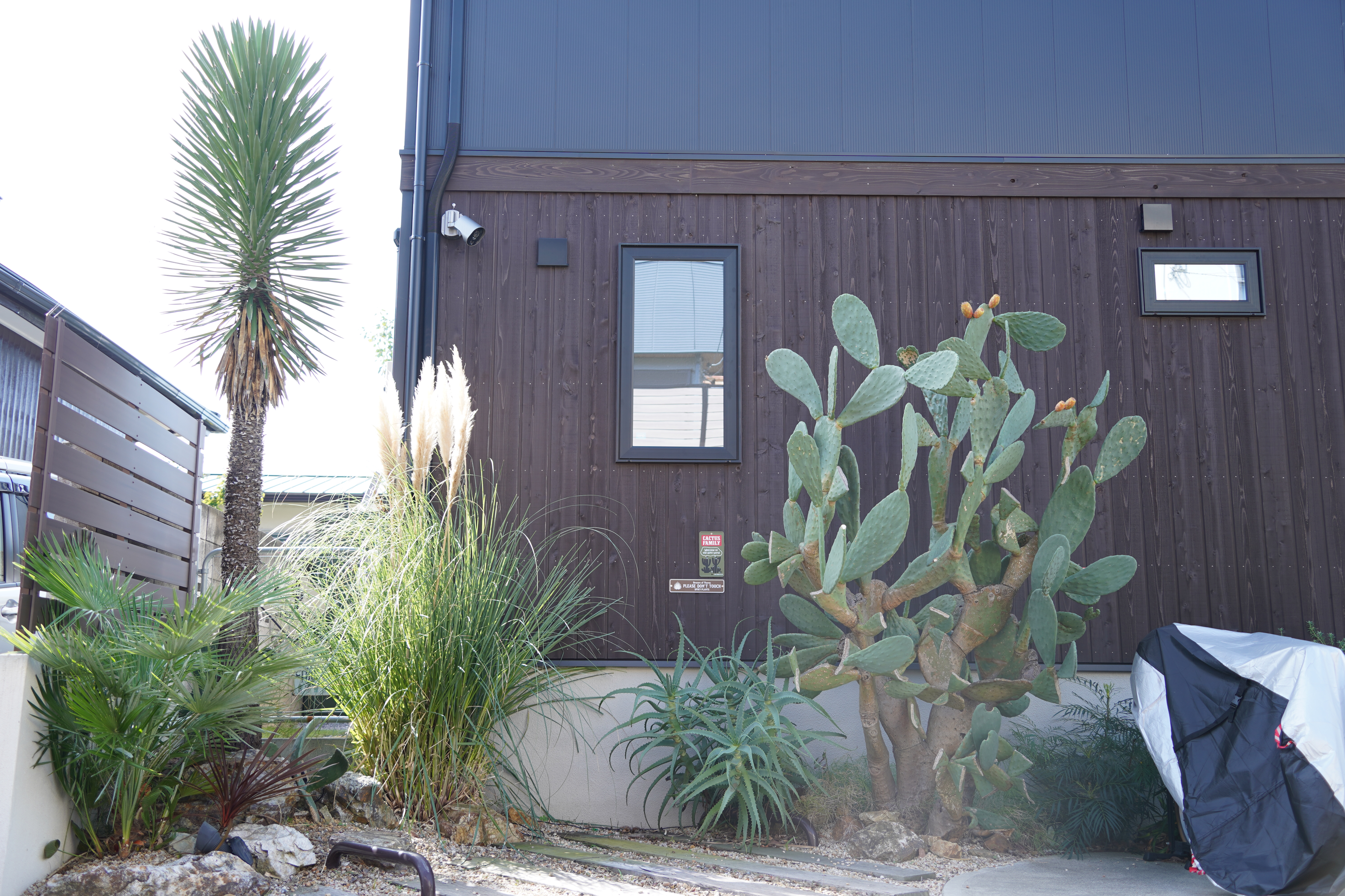 神奈川県藤沢市　ドライガーデン施工事例