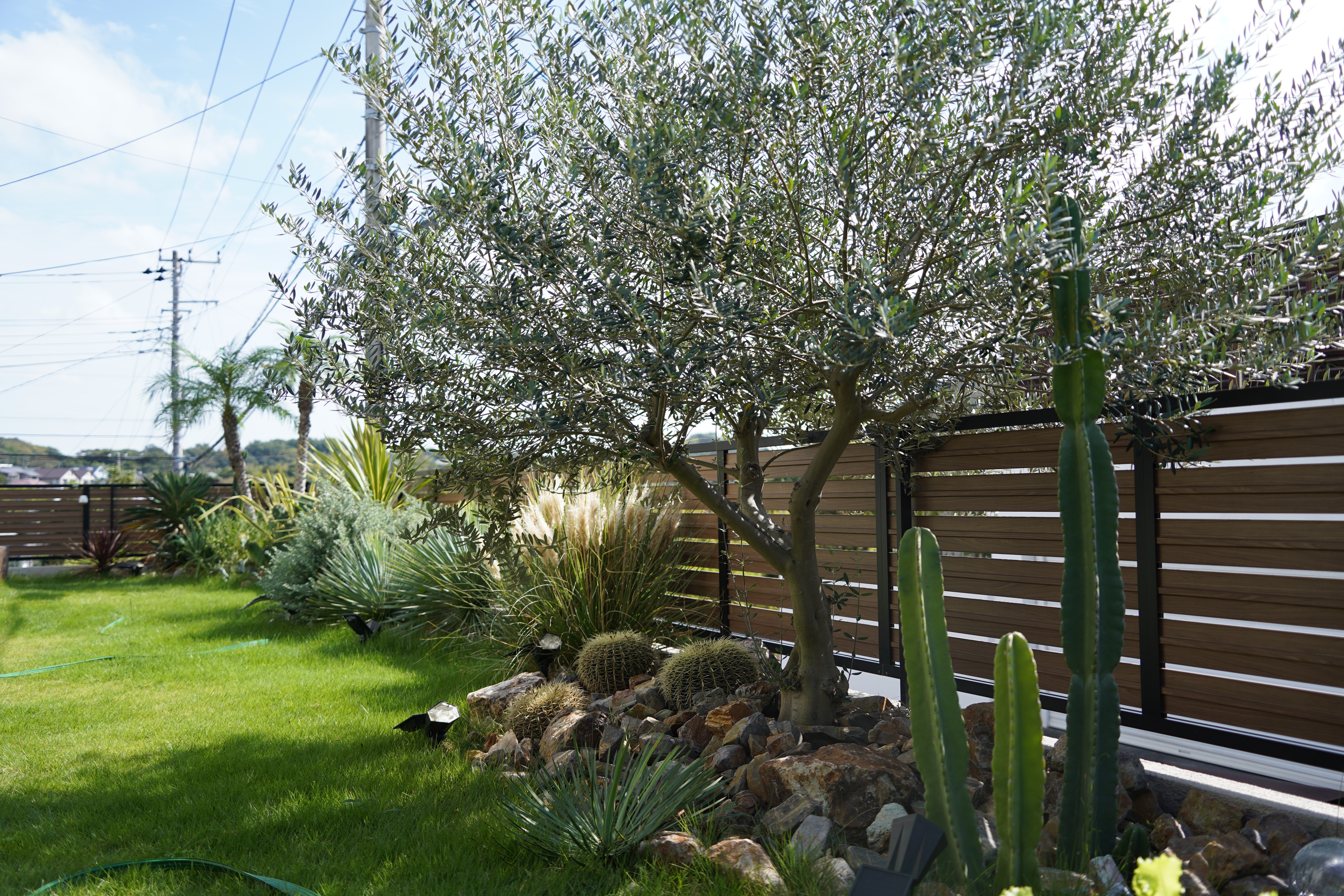 神奈川県藤沢市　新築ナチュラルドライガーデン施工