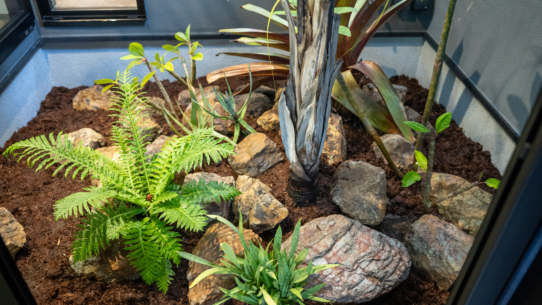 坪庭ドライガーデン施工事例