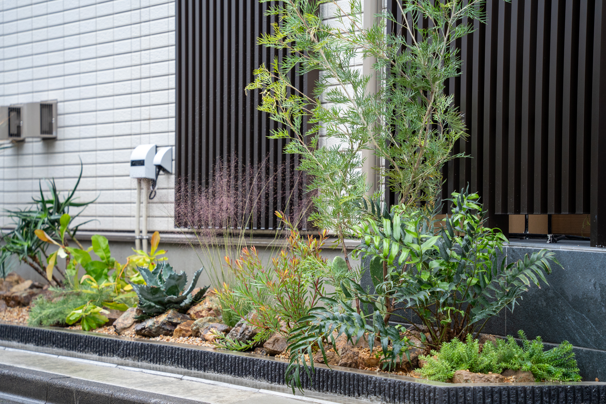 東京都三鷹市ナチュラルドライガーデン施工事例