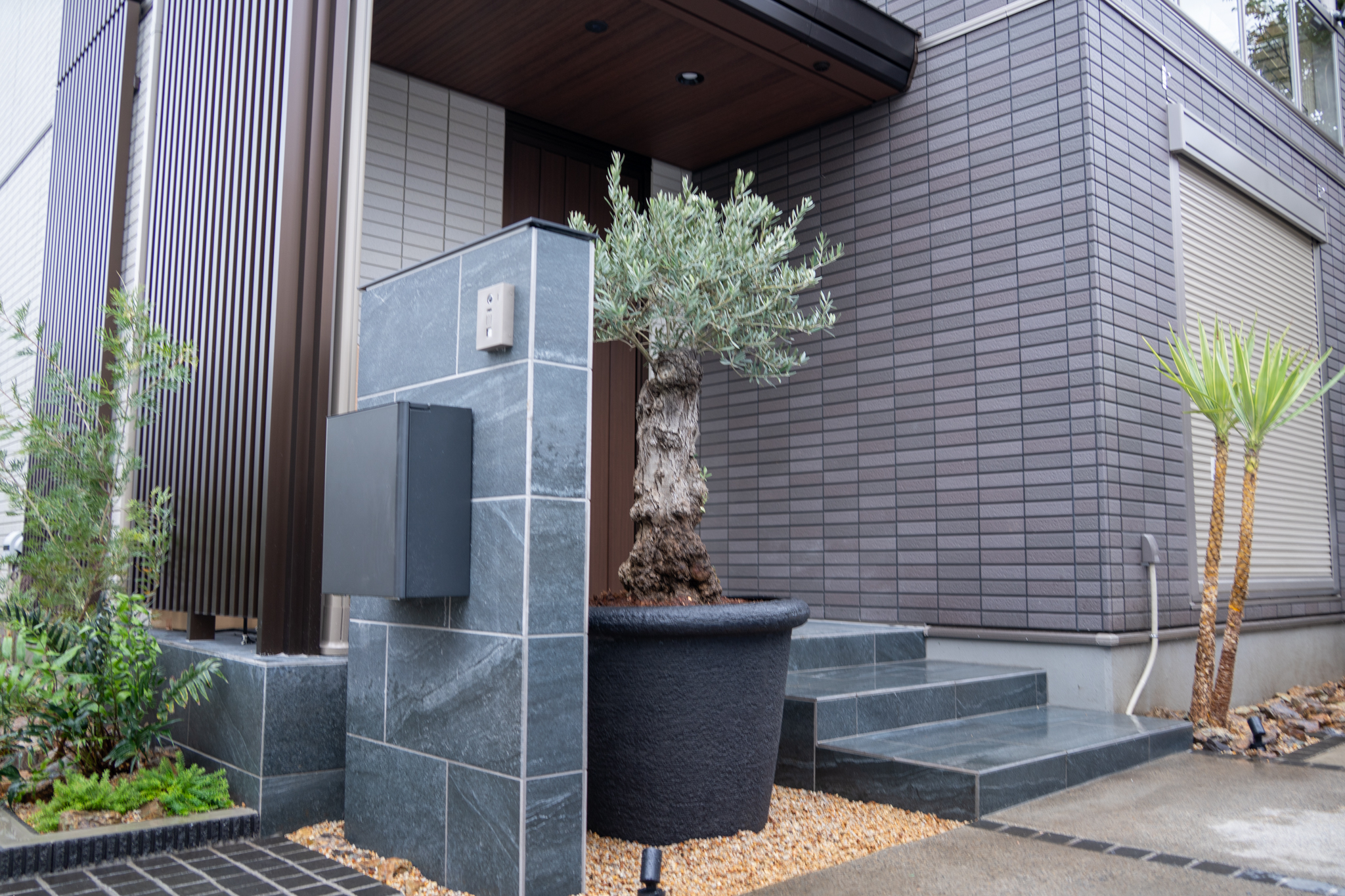 古木オリーブを使ったナチュラルドライガーデン施工事例