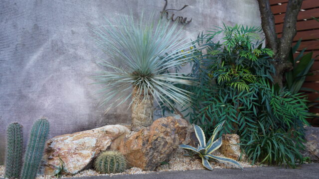 ドライガーデン