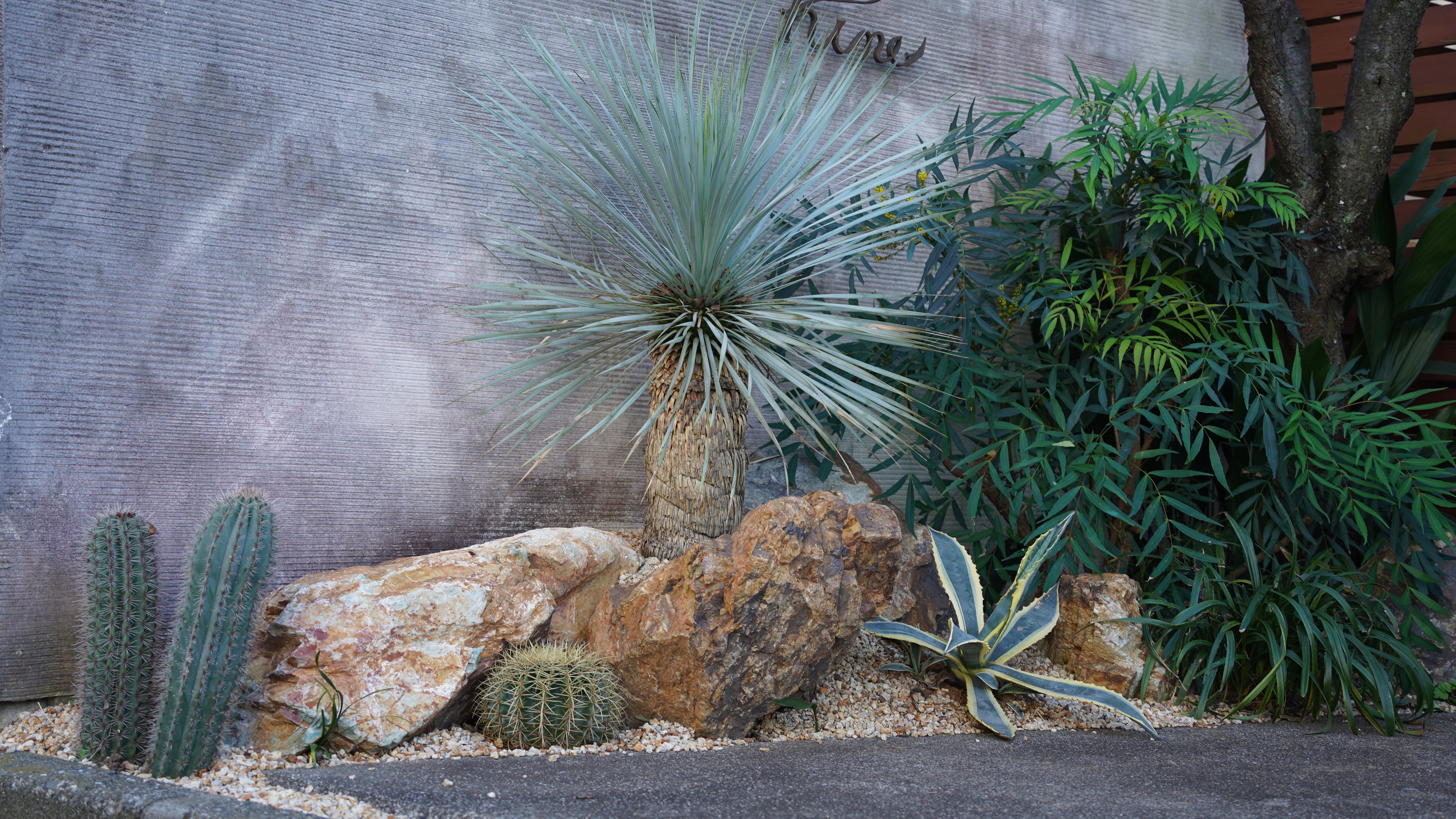 ドライガーデンマンション前施工事例