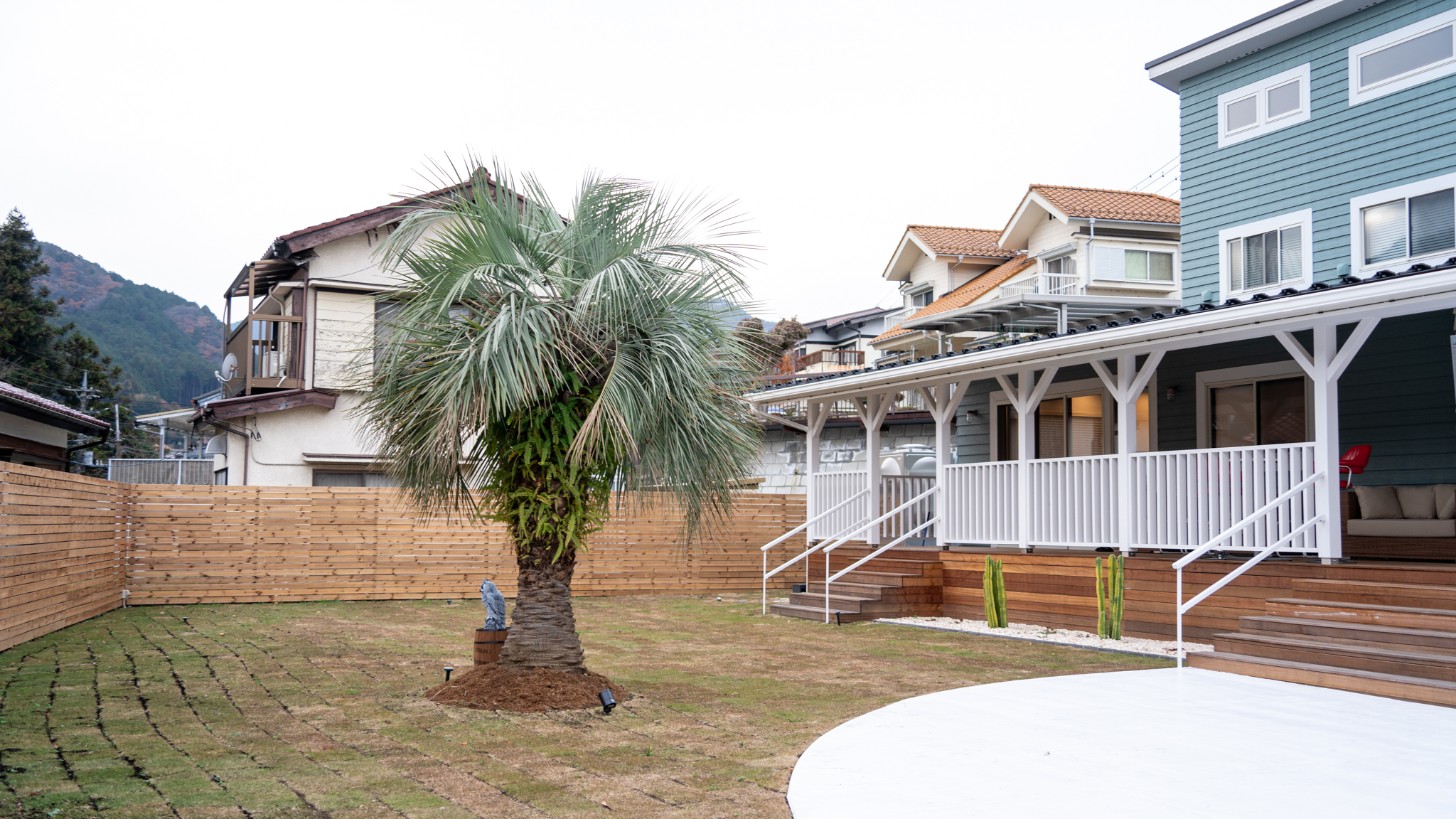ドライガーデンココスヤシ植栽施工