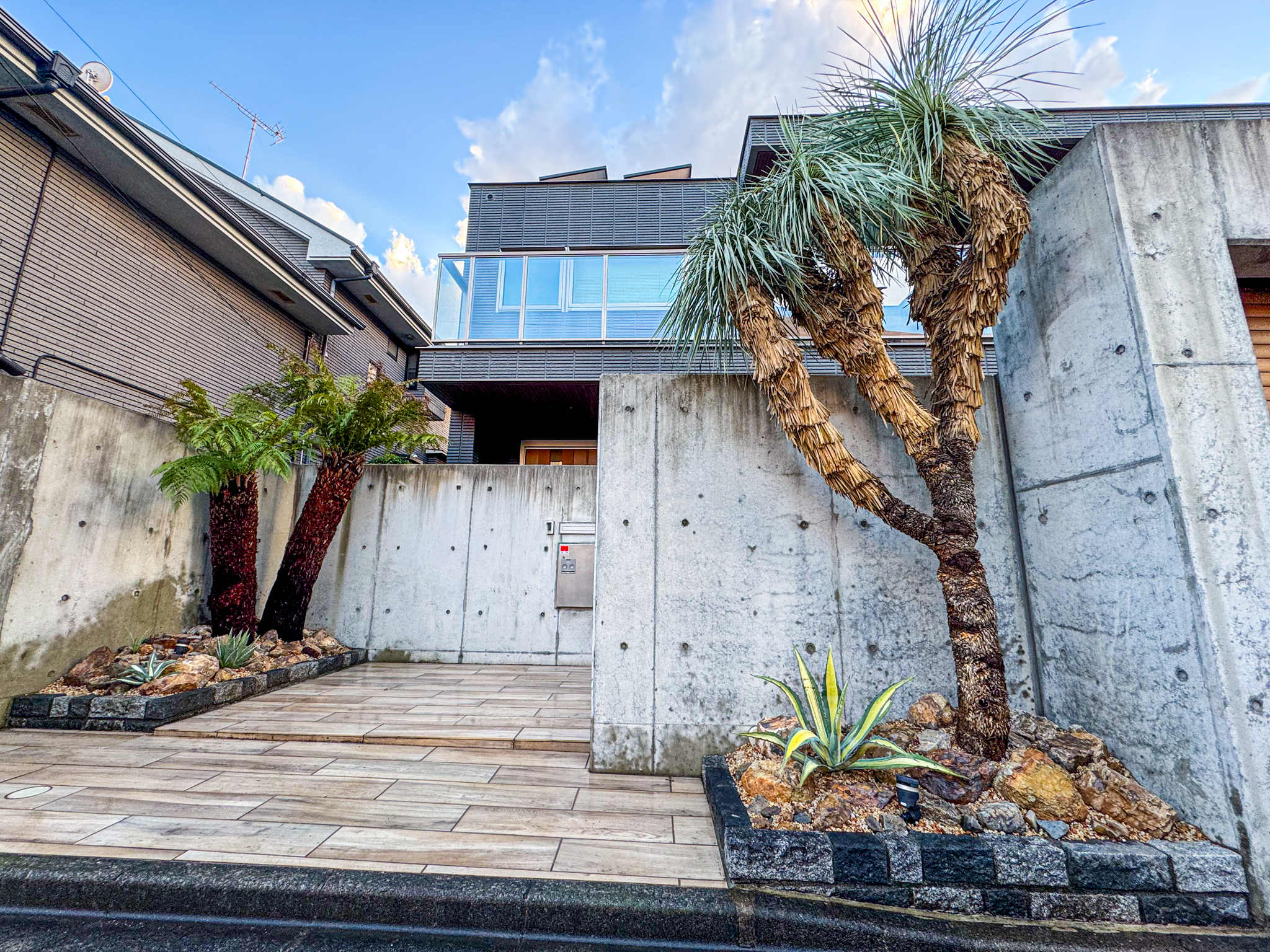 超希少ロストラータを使ったドライガーデン