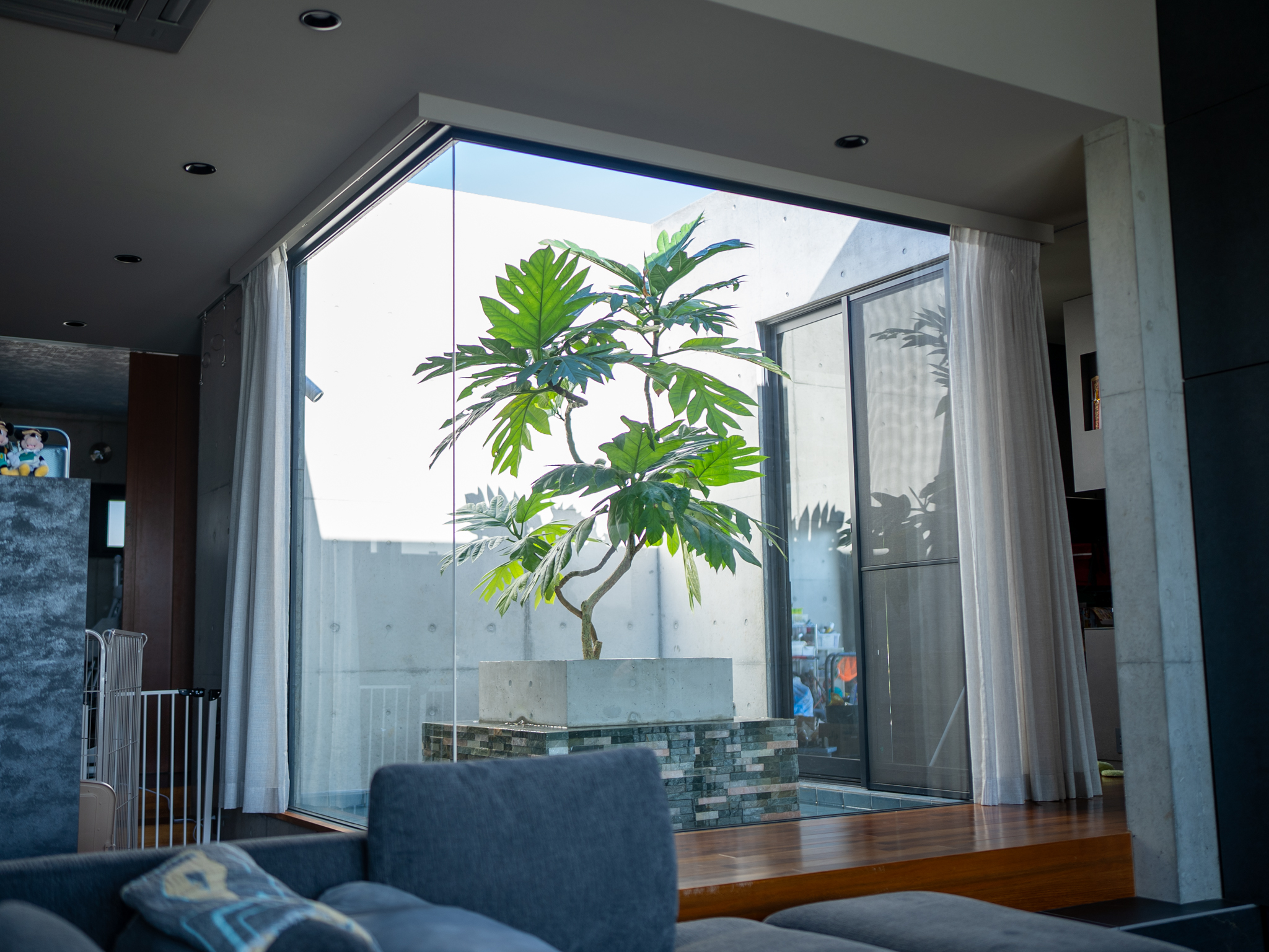 沖縄県伊江島　中庭リゾートガーデン