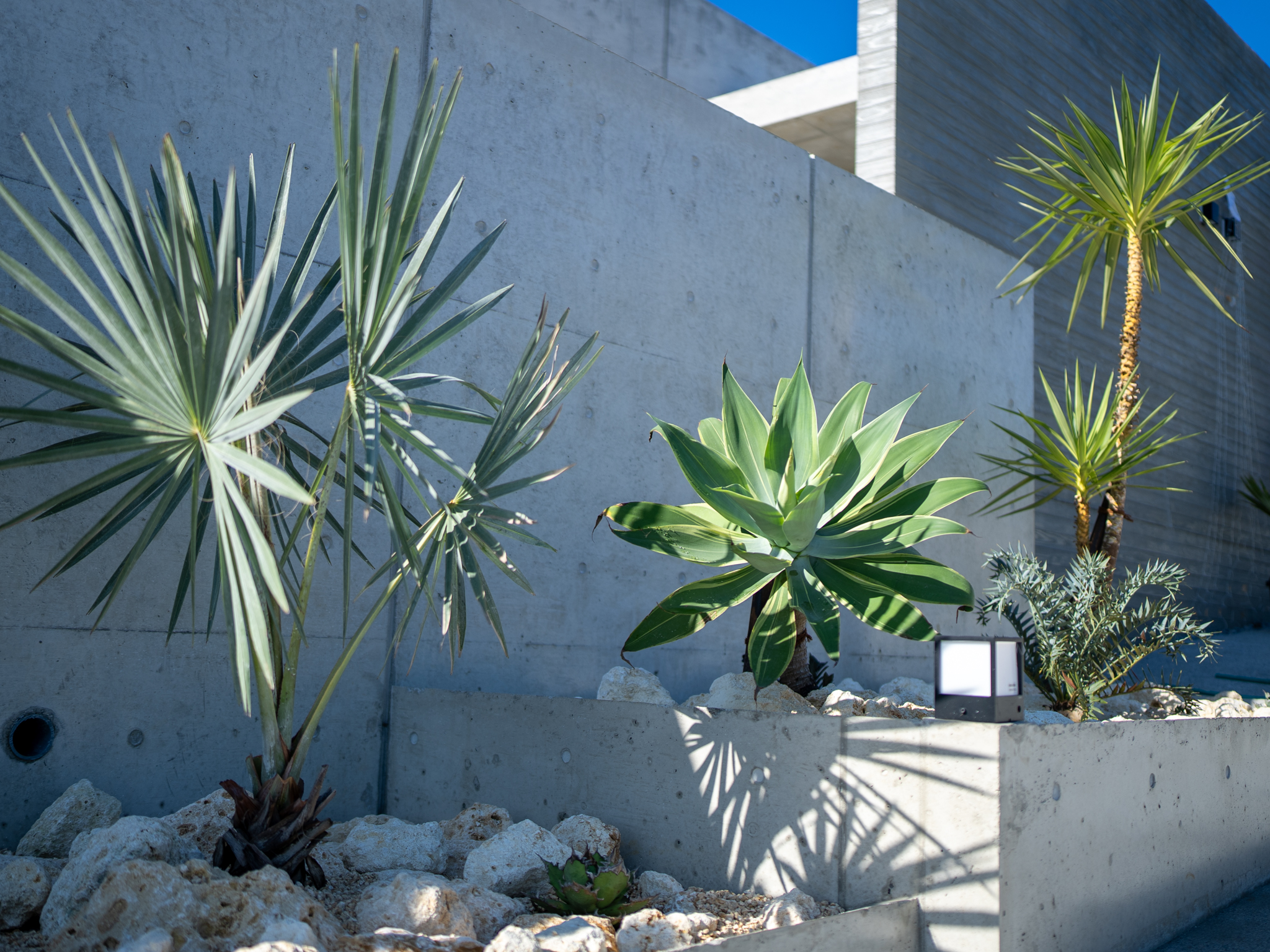 沖縄県伊江島　南国ドライガーデン植栽　施工事例