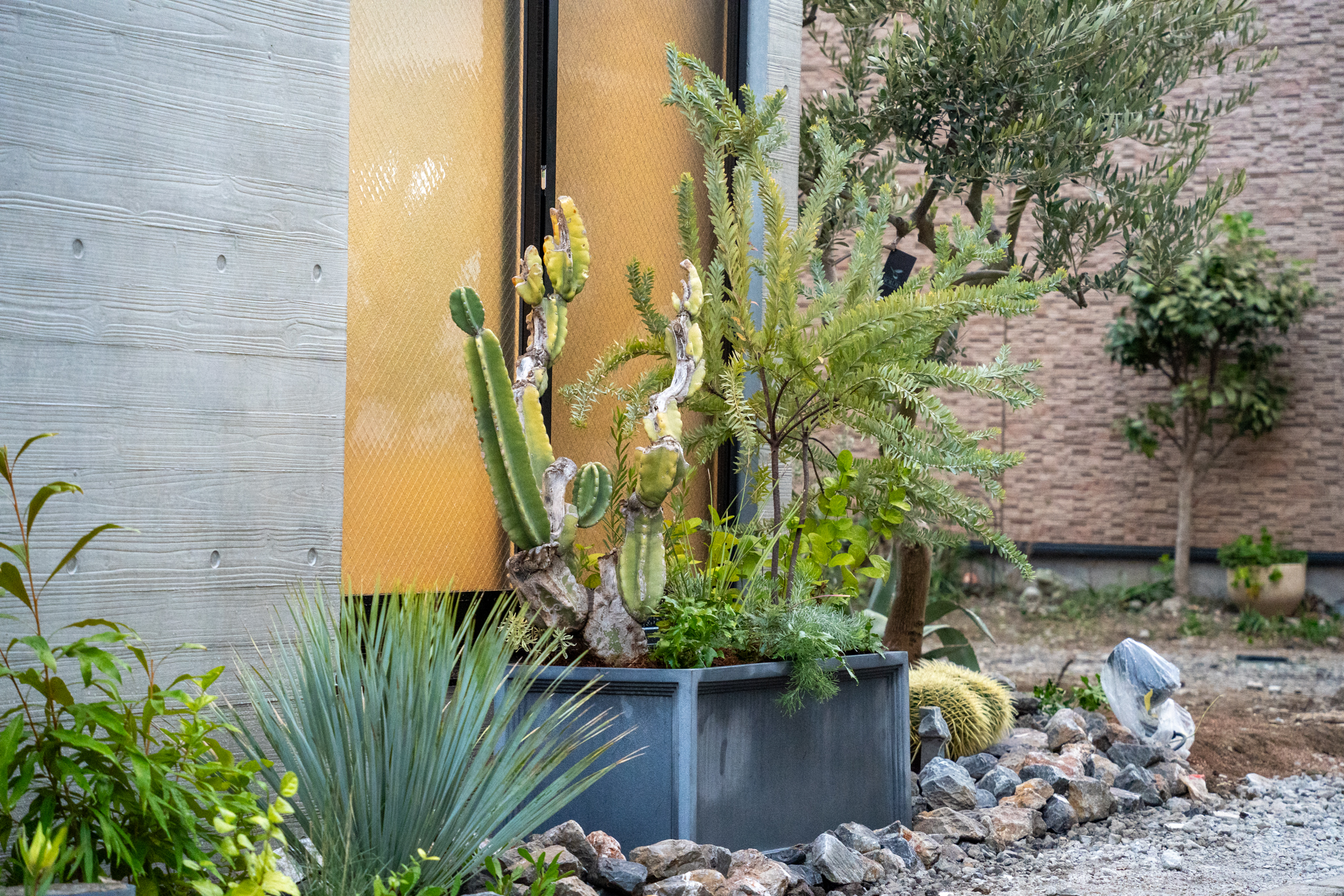 東京都世田谷区三軒茶屋｜賃貸マンション外構と植栽施工によるローメンテナンスガーデン事例