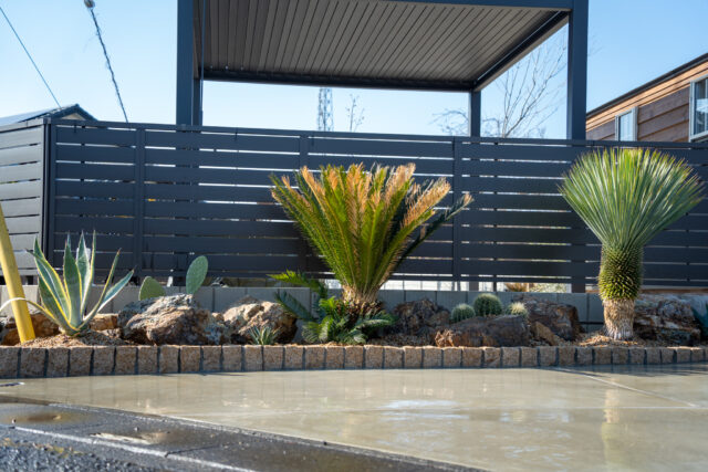 ドライガーデン施工後