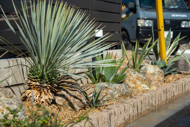 ドライガーデン施工後