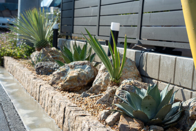 ドライガーデン施工後