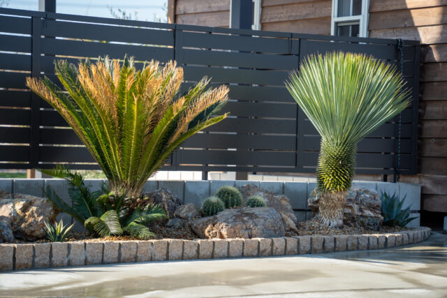 ドライガーデン施工後