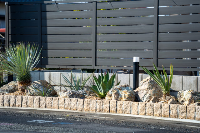 ドライガーデン施工後