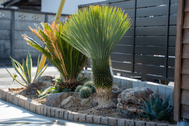 ドライガーデン施工後