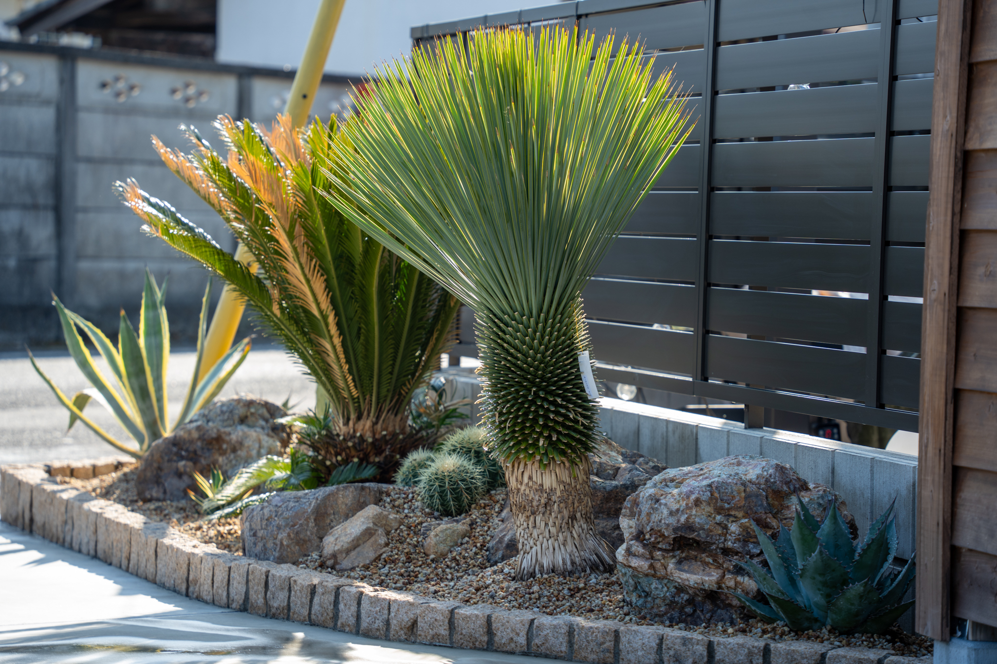 大きな石を使ったドライガーデンお庭のリノベーション